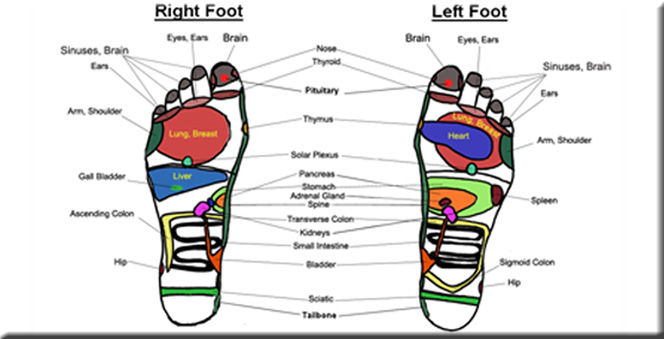 SERVICES OF REFLEXOLOGY