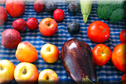 SERVICIOS DE DIETÉTICA Y NUTRICIÓN