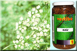 Vertib 02 Anise