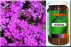 Vertib 04 Verveine