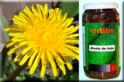 Vertib 06 Dandelion