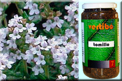 Vertib 07 Thyme