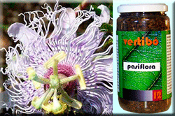 Vertib 12 Passionflower